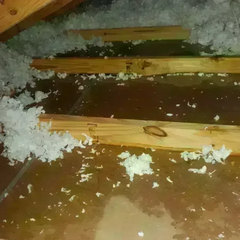 Attic Water Damage in James City County, VA